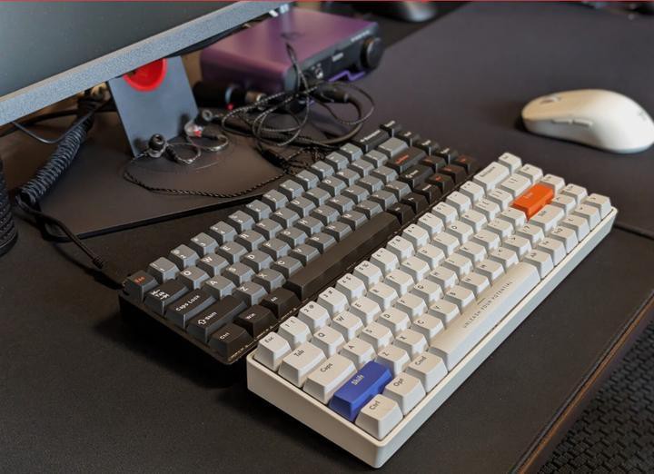 紅龍磁軸與Cherry軸有何區別 紅龍磁軸與Cherry軸有何區別 龍魚百科 第4張