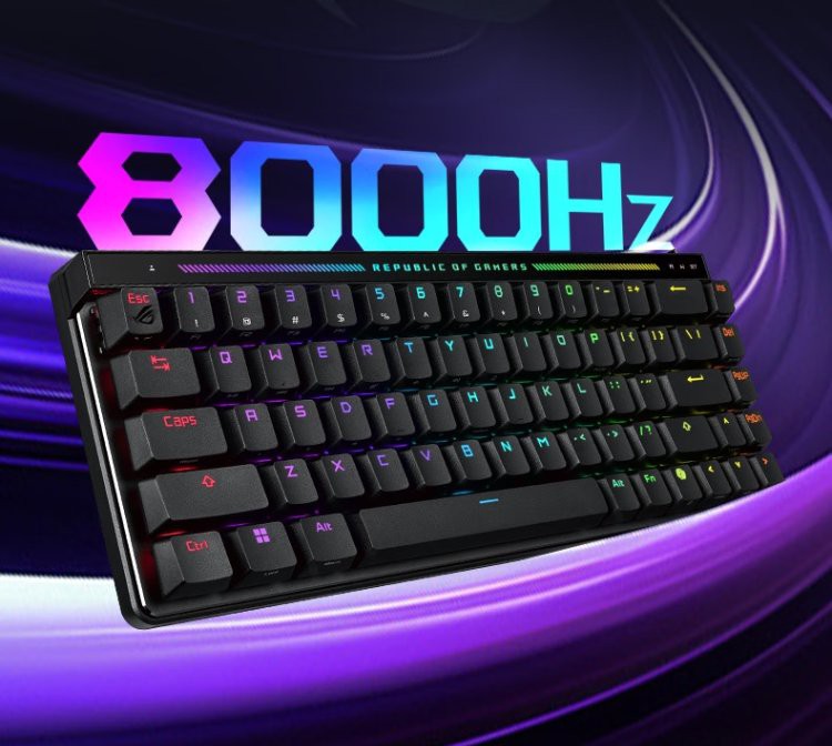 紅龍磁軸與Cherry軸有何區別 紅龍磁軸與Cherry軸有何區別 龍魚百科 第7張