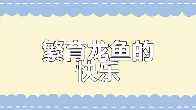 龍魚怎么生小魚視頻 龍魚怎么生小魚視頻 龍魚百科