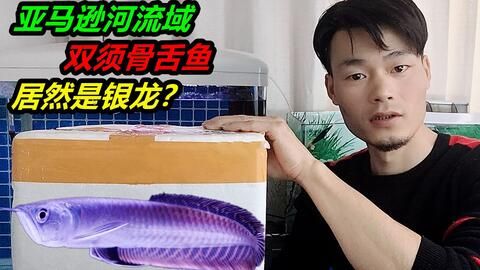 龍魚開箱的注意事項：\"龍魚開箱\"的詳細解答