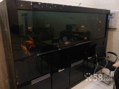 西安魚缸定做祥龍魚場：西安魚缸定做和祥龍魚場