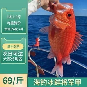 將軍龍魚官方網站（如何辨別將軍龍魚官方網站真偽）
