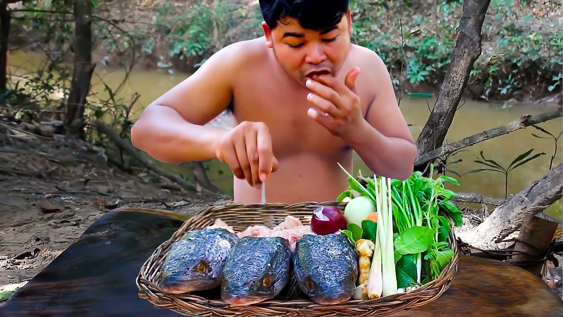 恐龍魚吃什么肉最好