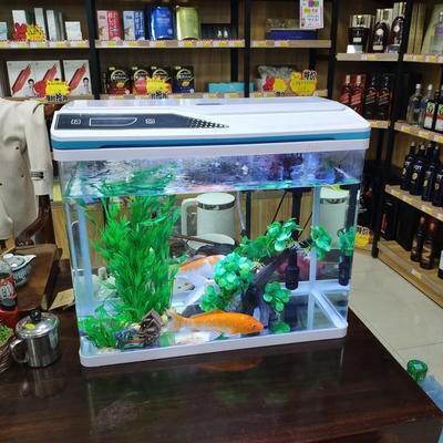 魚缸需要勤換水嗎？（如何判斷魚缸水質好壞）