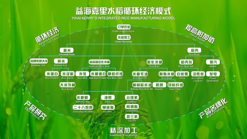 金龍魚廣西工廠的環(huán)保措施有哪些？