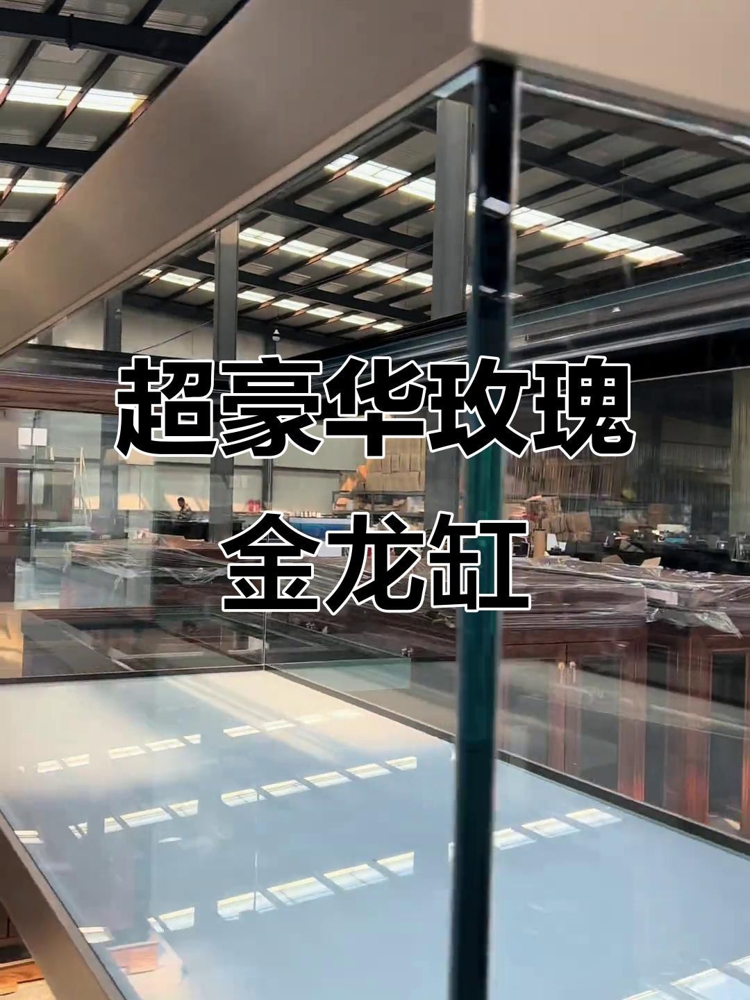 新手飼養(yǎng)龍魚需要多大的魚缸？