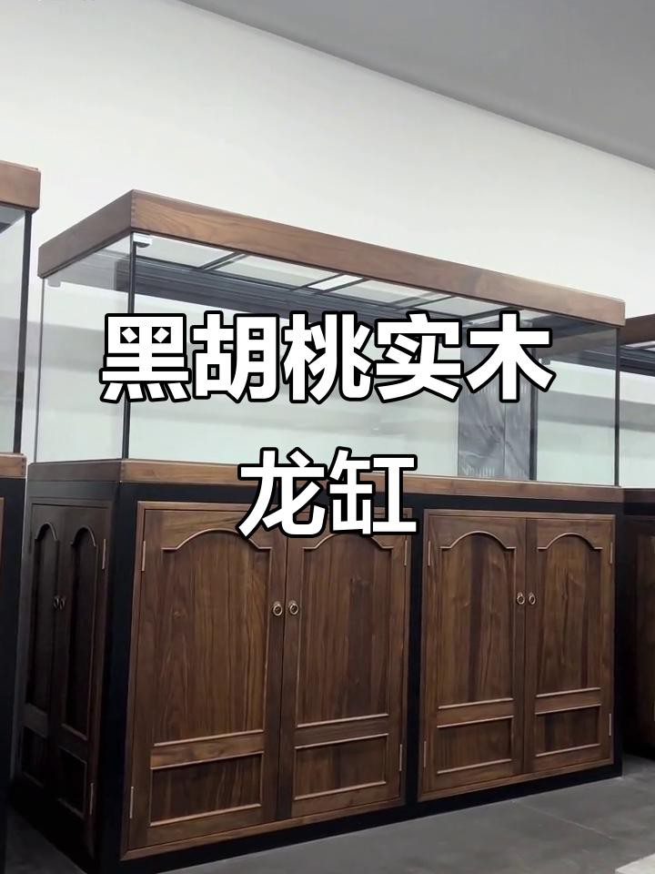 新手飼養(yǎng)龍魚需要多大的魚缸？