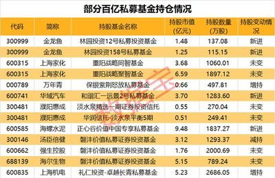金龍魚大股東持股：研究探討金龍魚大股東的持股情況及其對公司運營影響