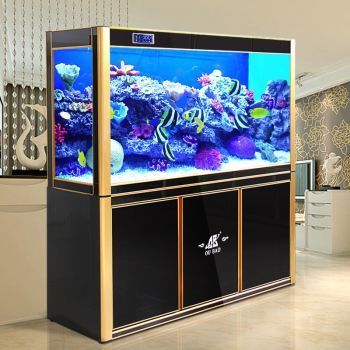 性價比高的龍魚缸品牌排行榜：性價比高的龍魚缸品牌