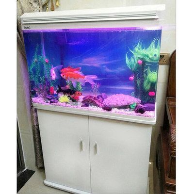 性價比高的龍魚缸品牌排行榜：性價比高的龍魚缸品牌