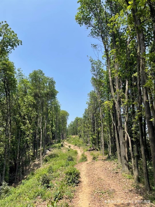 沈陽龍魚祥龍魚場地址在哪里