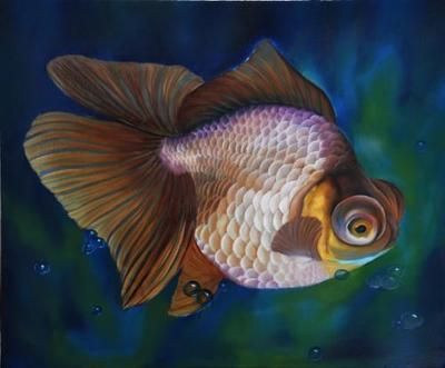 中國最貴的龍魚排名第一是什么魚（中國最貴的龍魚排名） 中國最貴的龍魚排名第一是什么魚（中國最貴的龍魚排名） 龍魚百科 第3張