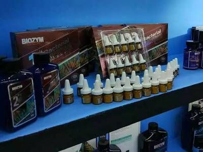龍魚治療產品哪個牌子好用點呢：如何選擇龍魚治療產品？