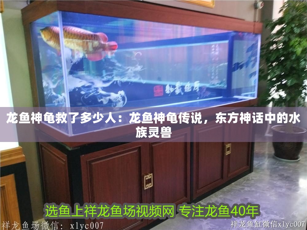 龍魚神龜救了多少人：龍魚神龜傳說，東方神話中的水族靈獸