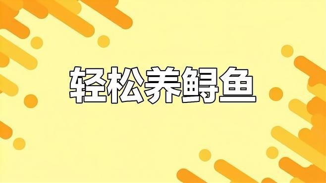 鱘龍魚怎么家養(yǎng)