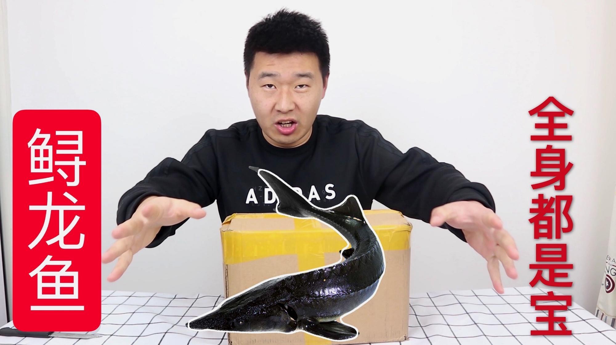 鱘龍魚怎么家養(yǎng)