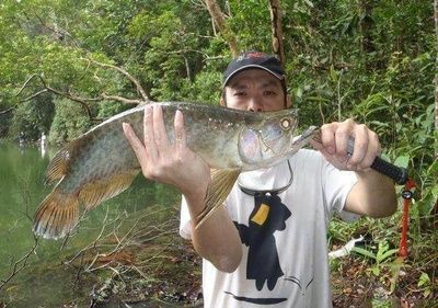 龍魚用什么釣最好：釣龍魚時，選擇合適的魚餌至關重要，龍魚釣魚地點推薦