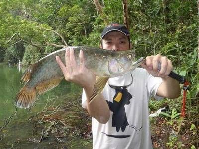 龍魚用什么釣最好：釣龍魚時，選擇合適的魚餌至關重要，龍魚釣魚地點推薦