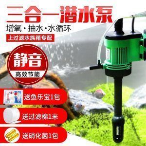 提高朱巴利魚繁殖成功率的方法：如何提高朱巴利魚繁殖成功率