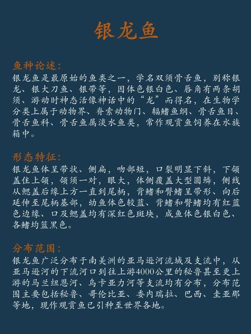 銀龍魚喂養(yǎng)方法圖解