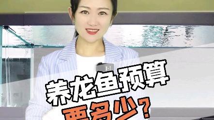 養殖龍魚需要哪些設備？