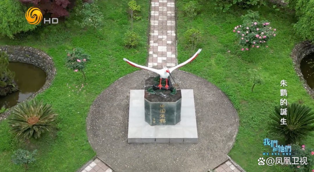 這兩種稀有品種的繁殖難度有多高？ 這兩種稀有品種的繁殖難度有多高？ 龍魚百科 第1張