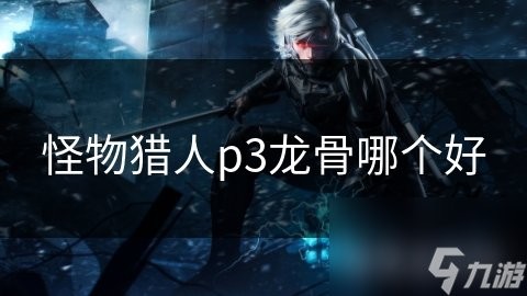 龍革材質在游戲中有哪些種類？