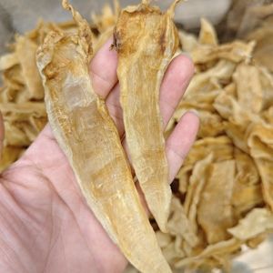 小金龍魚膠是養殖的嗎能吃嗎(小金龍魚膠對人體有什么好處?) 龍魚百科 第1張 小金龍魚膠是養殖的嗎能吃嗎(小金龍魚膠對人體有什么好處?) 小金龍魚膠是養殖的嗎能吃嗎(小金龍魚膠對人體有什么好處?) 龍魚百科 第1張