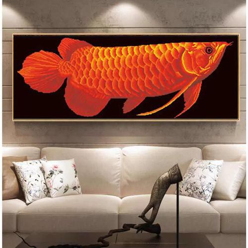 紅色金龍魚圖片整張圖片