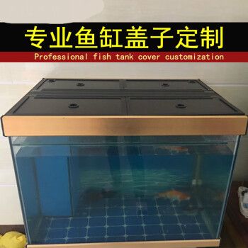 龍魚自己撞魚缸：龍魚撞擊魚缸的原因以及應對措施