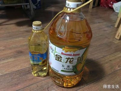 金龍魚要買多少錢（關于金龍魚價格問題）