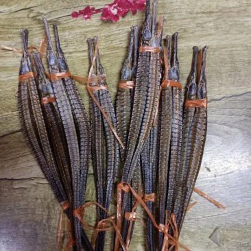 六角海龍和四角龍魚的價格差異大嗎？