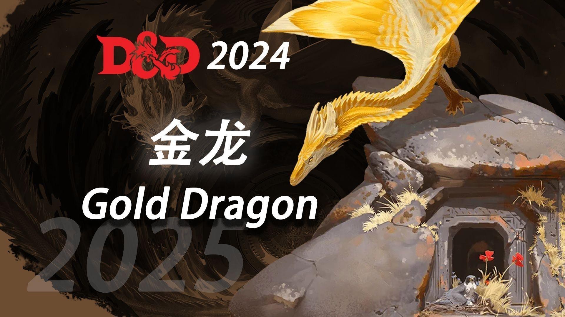 金龍在《龍與地下城》中的詳細設定是什么？