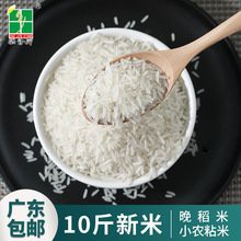 金龍魚珍香小農(nóng)粘價(jià)格10Kg