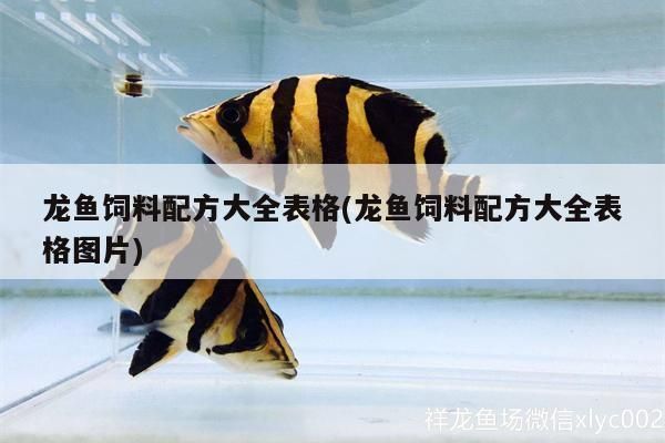 與龍魚混養的熱帶魚有哪些種類圖片：與龍魚混養的熱帶魚有哪些種類？