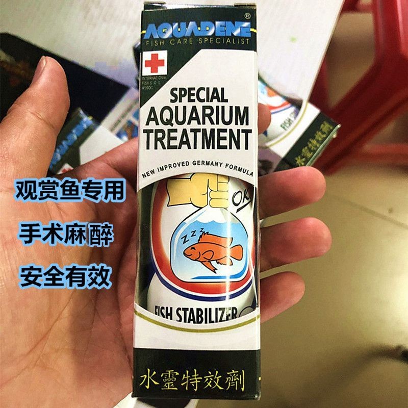 龍魚麻醉運輸方法視頻講解