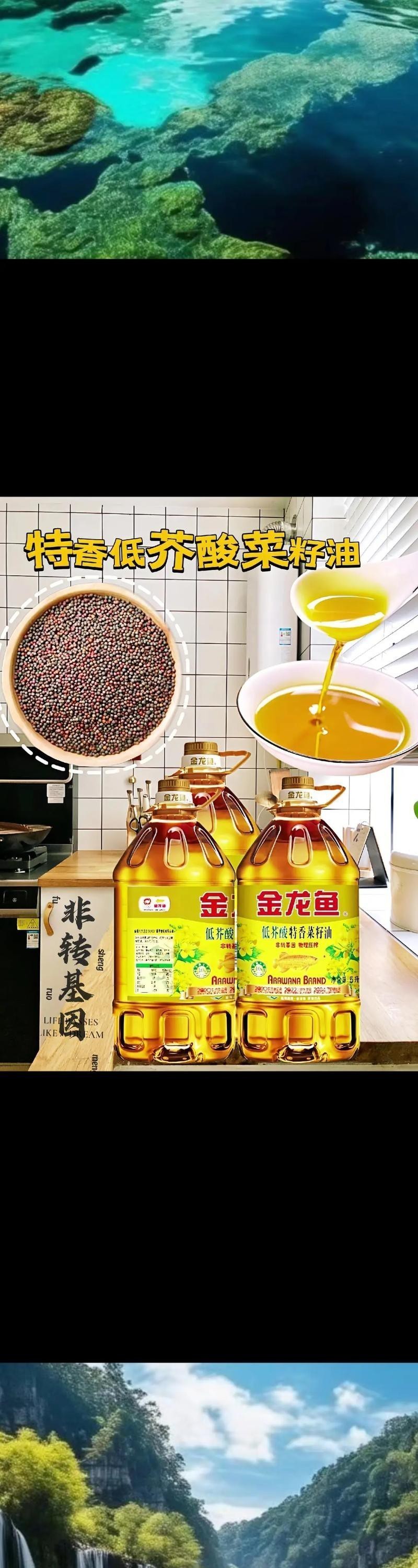 金龍魚一級油和精選油哪個更適合涼拌？