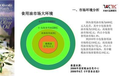 金龍魚營銷策劃方案怎么寫（金龍魚國際營銷策劃方案應詳細闡述其市場定位、目標客戶群、營銷策略及預期效果）