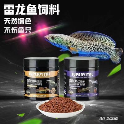雷龍魚飼料魚能吃嗎怎么喂：雷龍魚可以吃飼料魚的，但在喂食過程中需要注意以下幾點 雷龍魚飼料魚能吃嗎怎么喂：雷龍魚可以吃飼料魚的，但在喂食過程中需要注意以下幾點 龍魚百科 第2張