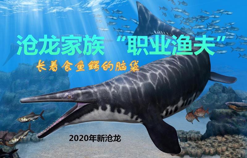 滄龍魚(yú)長(zhǎng)什么樣子圖片大全 滄龍魚(yú)長(zhǎng)什么樣子圖片大全 龍魚(yú)百科 第26張