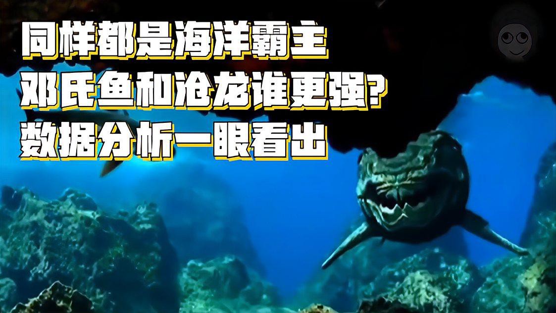 滄龍魚(yú)長(zhǎng)什么樣子圖片大全 滄龍魚(yú)長(zhǎng)什么樣子圖片大全 龍魚(yú)百科 第18張