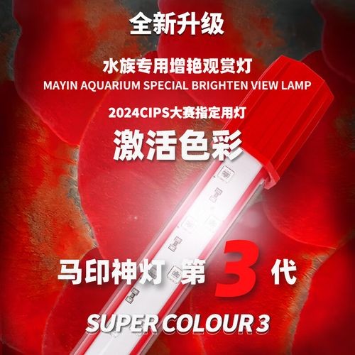 金龍魚觀賞專用燈