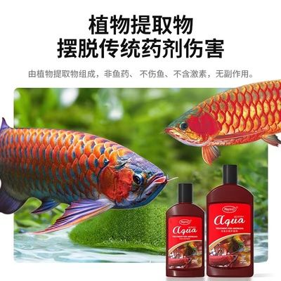 龍魚立鱗能不能自愈（龍魚立鱗病不會自愈，如何判斷龍魚立鱗病的嚴重程度）
