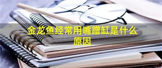 金龍魚躲在一個角落里不愛游動蹭缸：為什么金龍魚躲在一個角落里不愛游動？