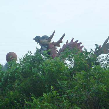 斬龍行為在哪些地區最為常見？ 斬龍行為在哪些地區最為常見？ 龍魚百科