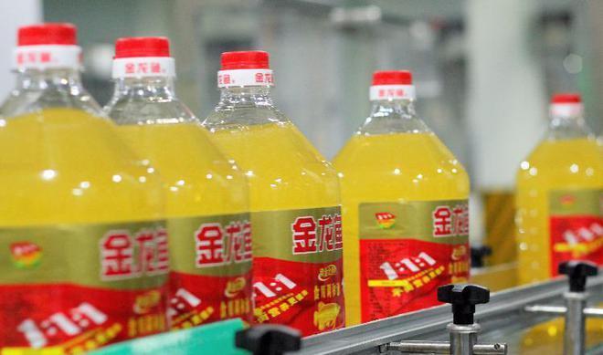 龍魚品質怎么看（如何鑒別龍魚品質）