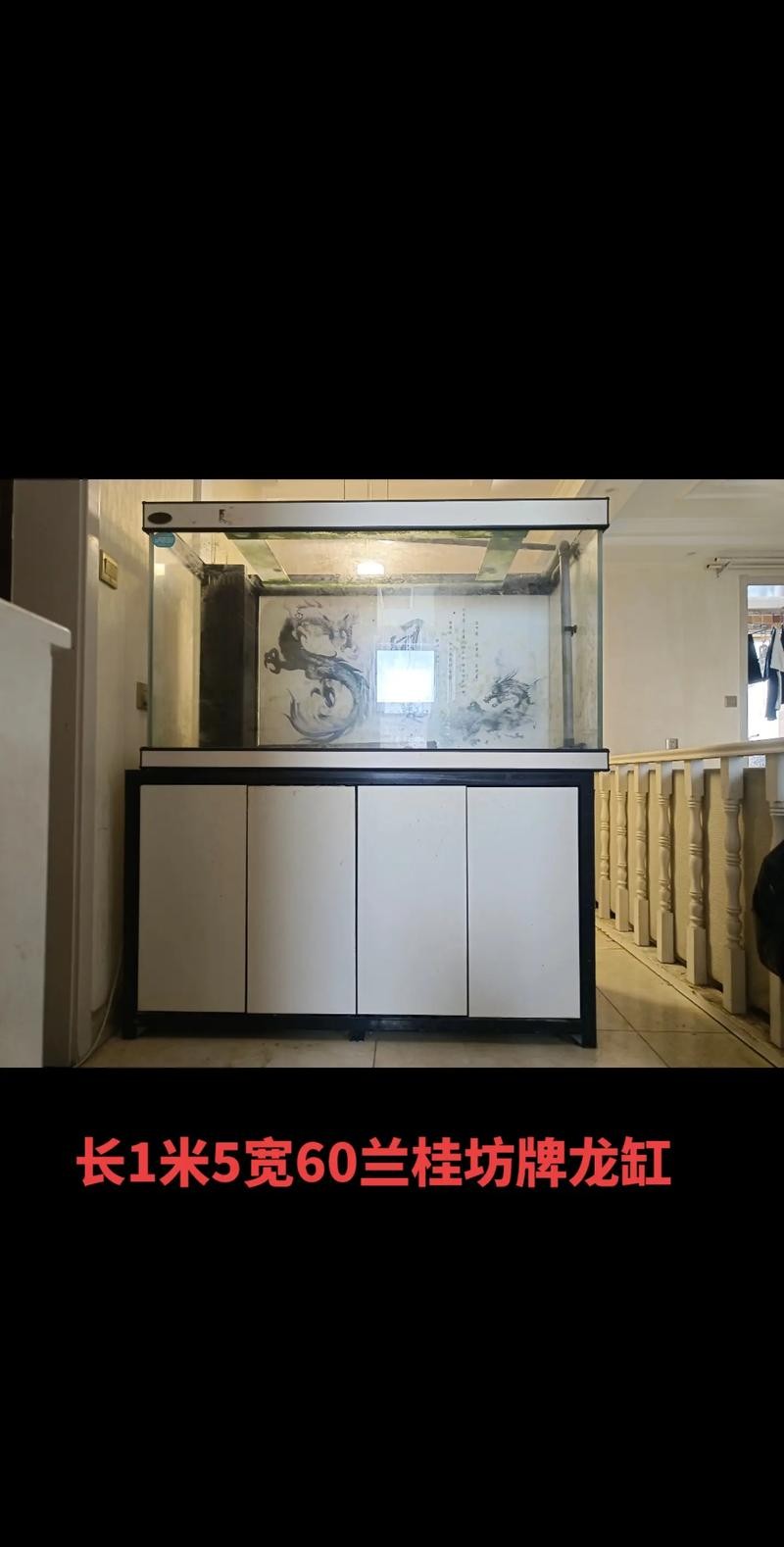 龍魚缸有什么特殊要求嗎圖片 龍魚缸有什么特殊要求嗎圖片 龍魚百科 第27張