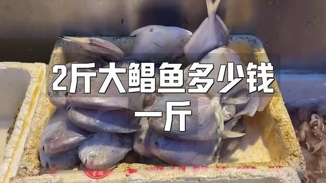 金鯧魚一斤多少錢