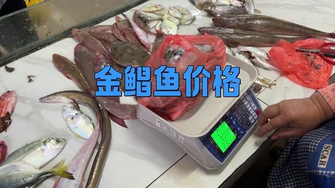 金鯧魚一斤多少錢