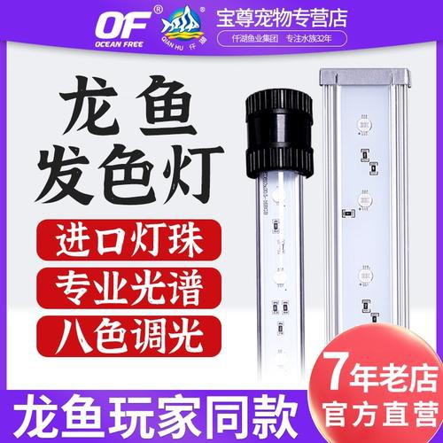 金龍魚燈使用多久需要更換？